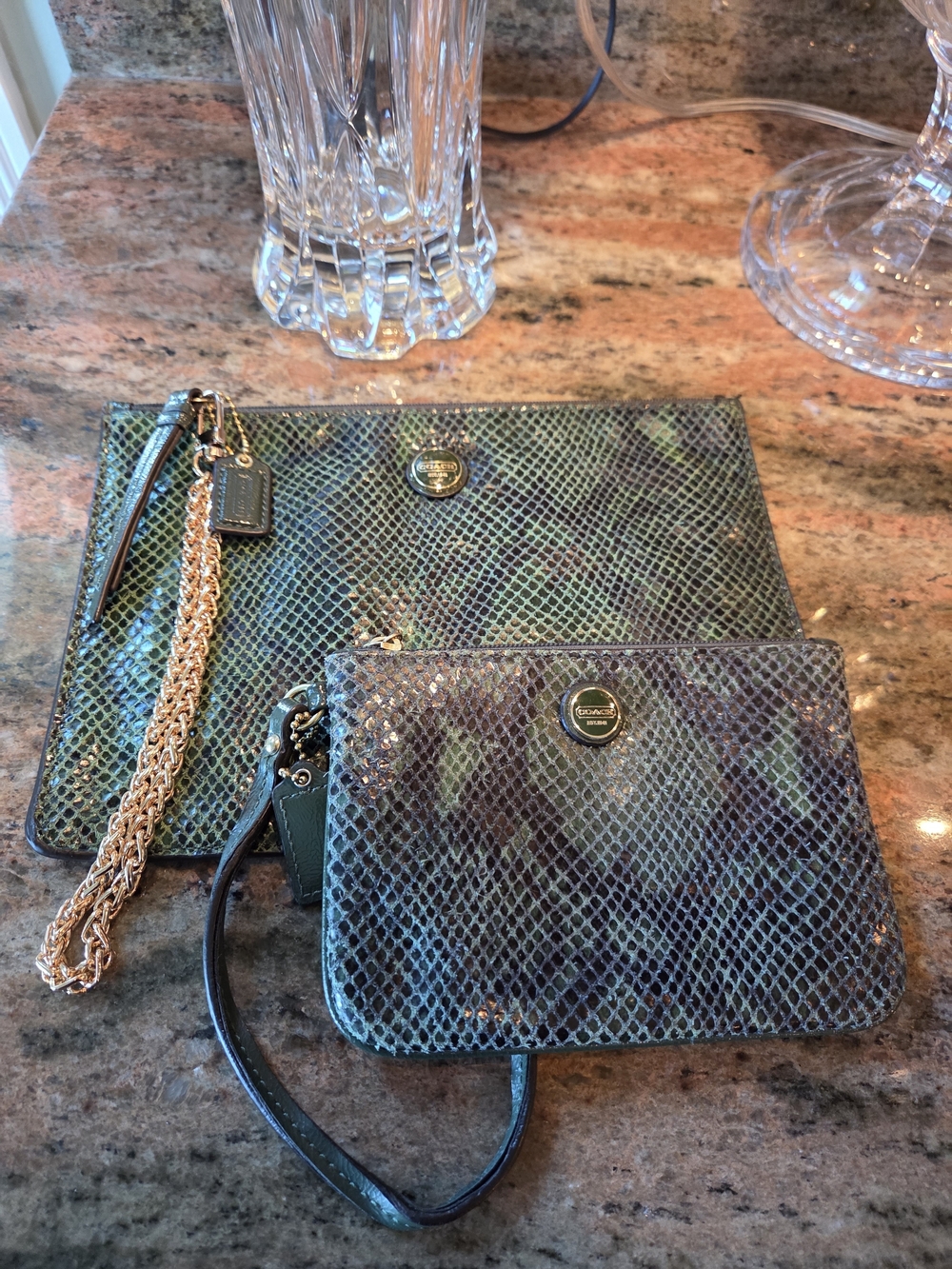 Coach Green Snake-Embossed Leather Wristlet Set